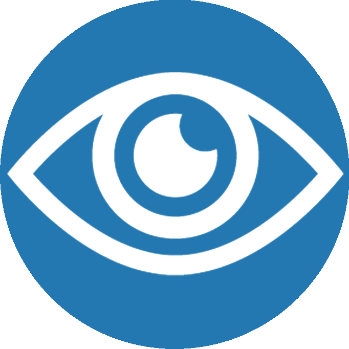 vision
